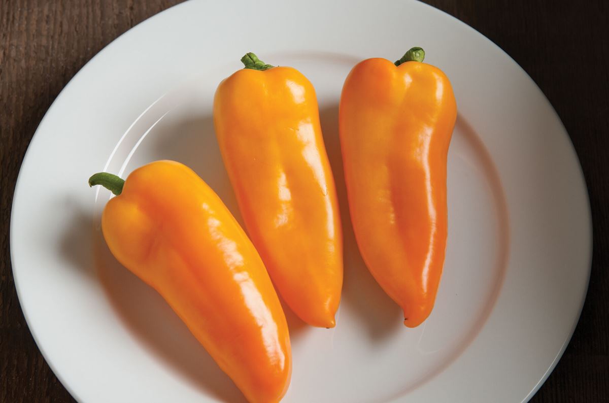 Cornito Giallo – Organic Corno di Toro Pepper Seed